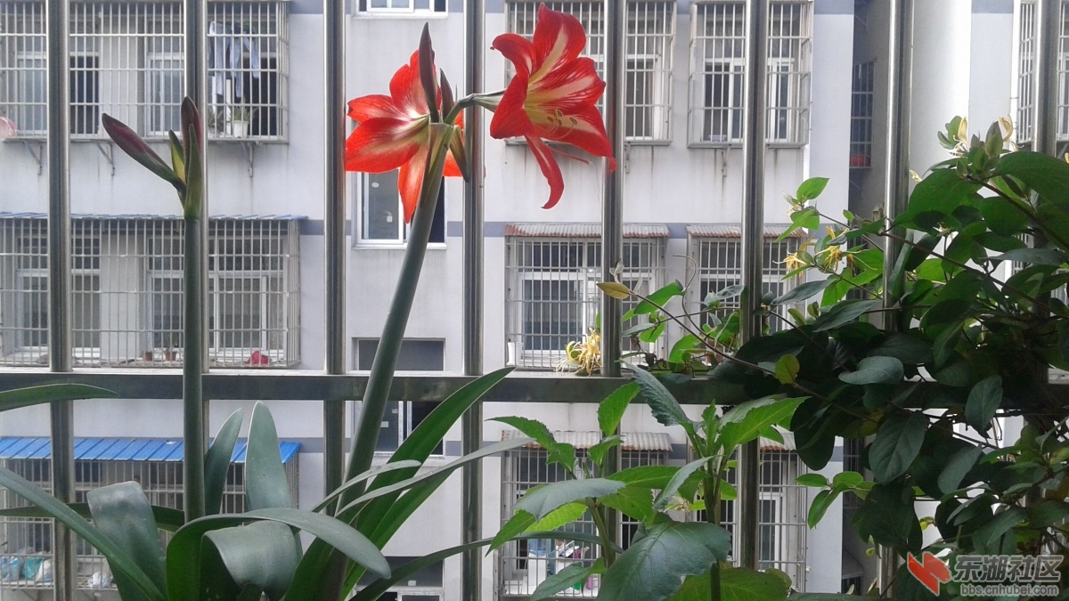 QQ图片20150510225657.jpg