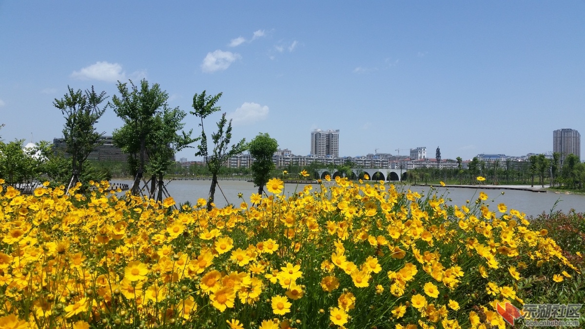 20150511_123947.jpg