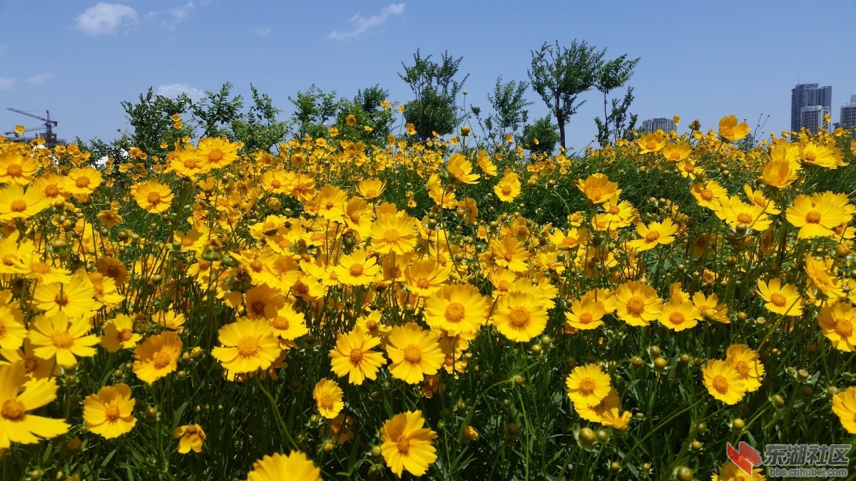 20150511_123907.jpg