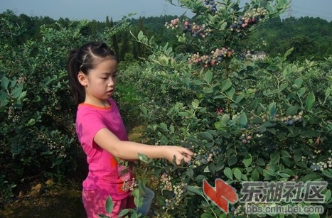 20130829082309.jpg