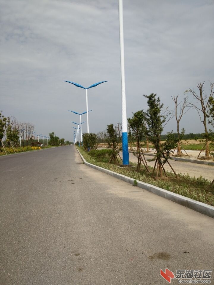 QQ图片20150512161716.jpg