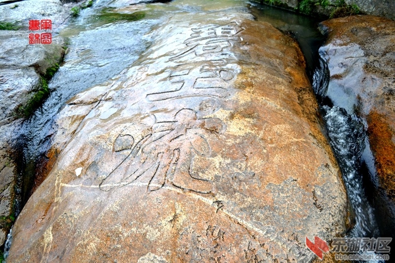 DSC_3935_副本.jpg