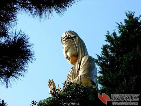 2浙江普陀山.jpg