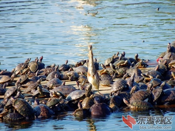 4厦门南普陀.jpg