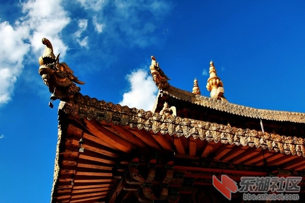 8西藏大昭寺.jpg