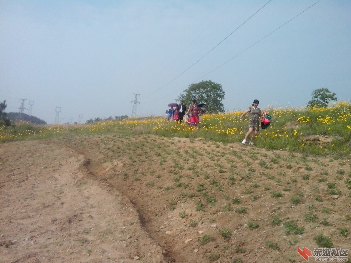 IMG_20150517_083104.jpg