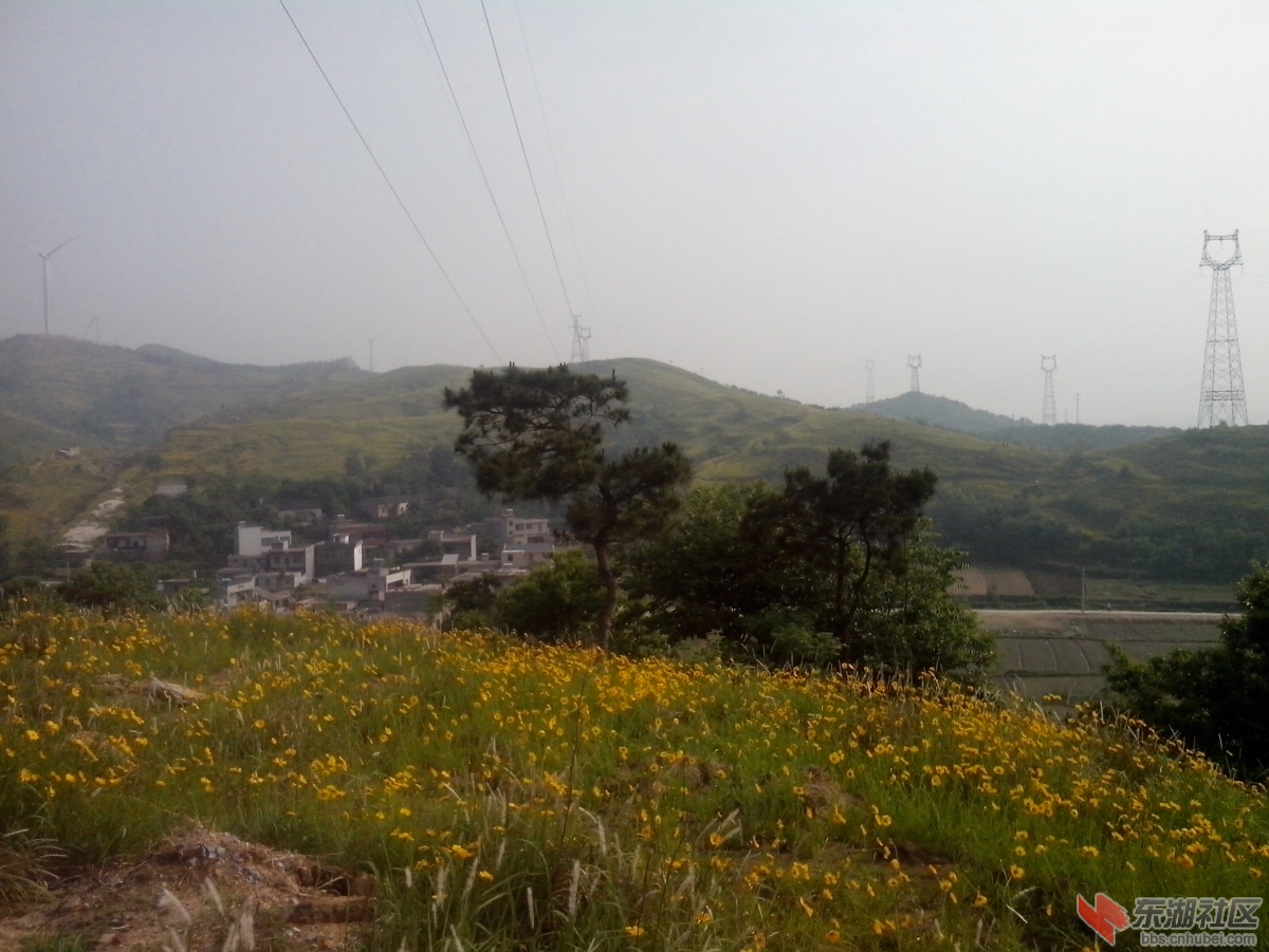IMG_20150517_083007.jpg