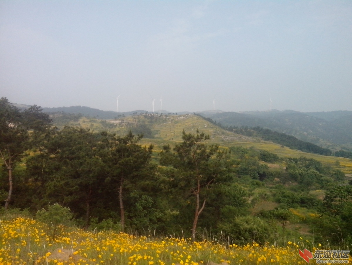 IMG_20150517_082858.jpg