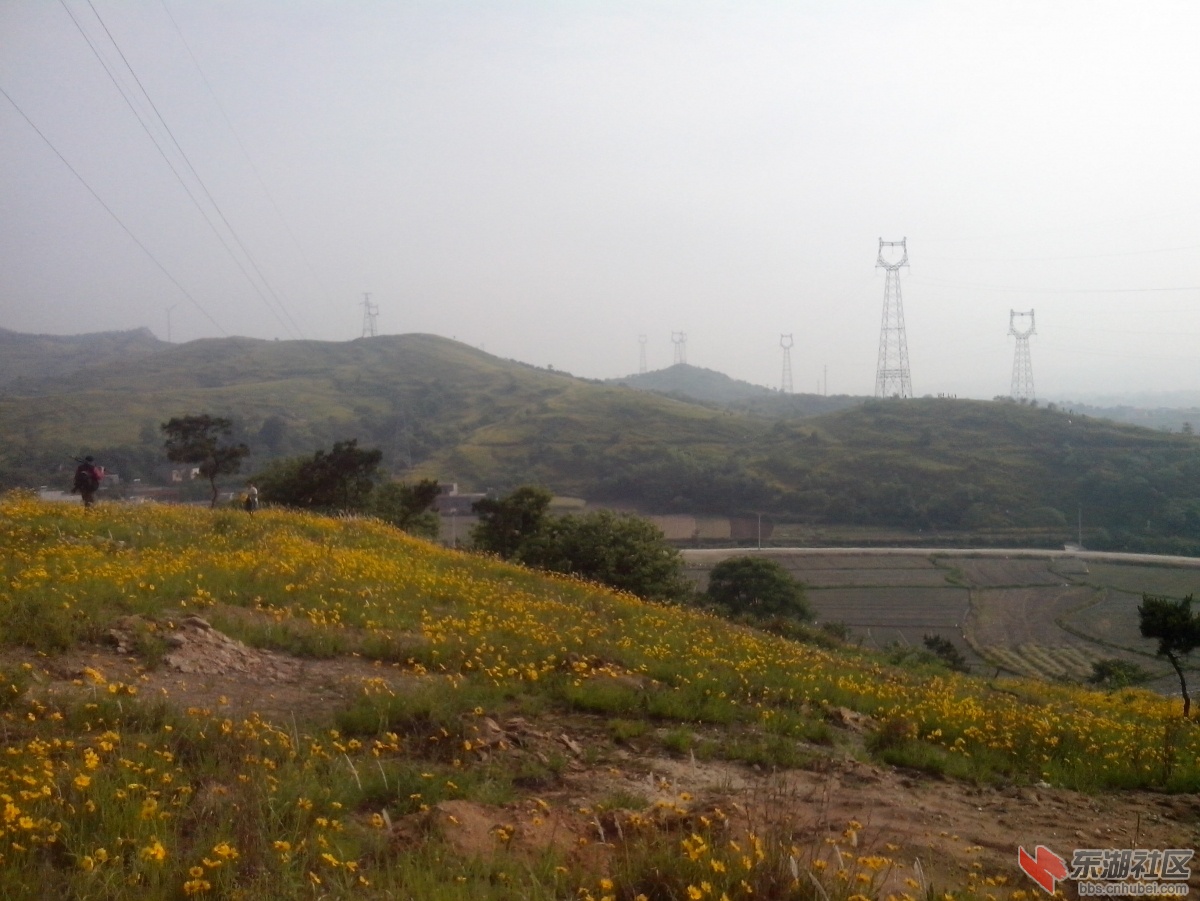 IMG_20150517_082839.jpg