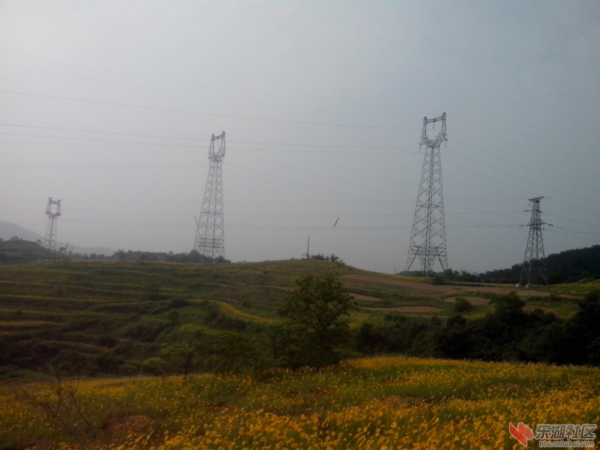IMG_20150517_074715.jpg