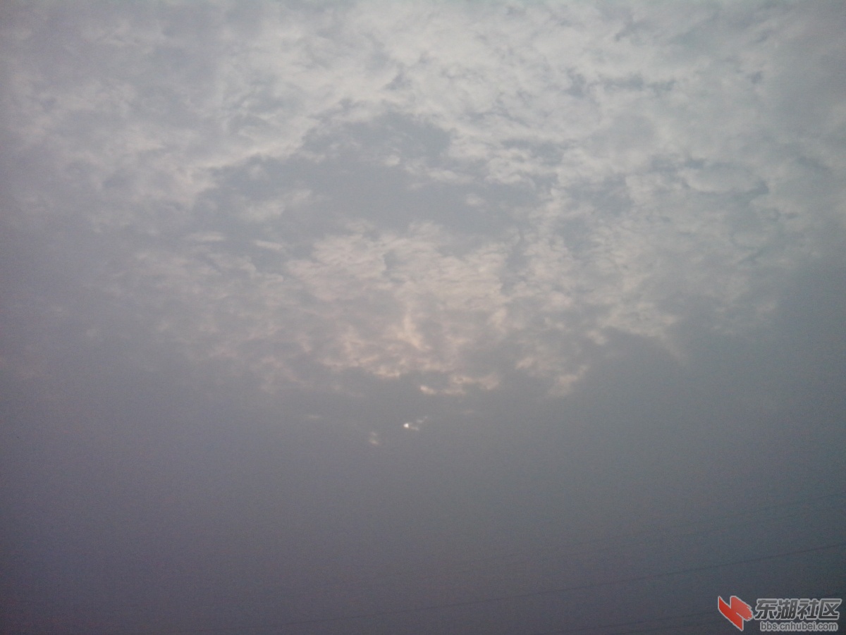 IMG_20150517_070222.jpg