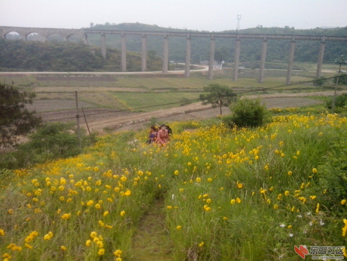 IMG_20150517_063013.jpg