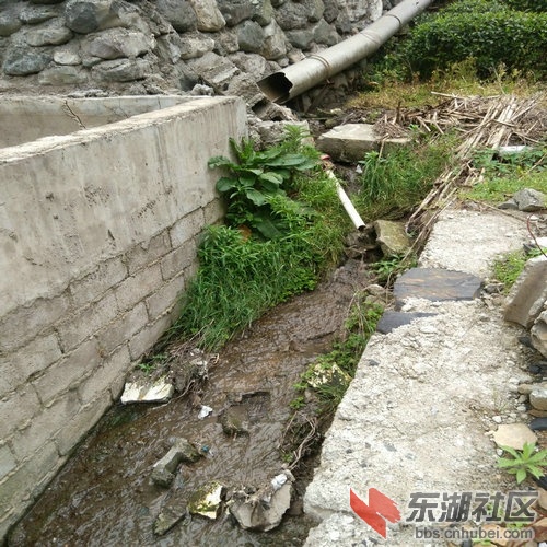 处理厂污水直排.jpg