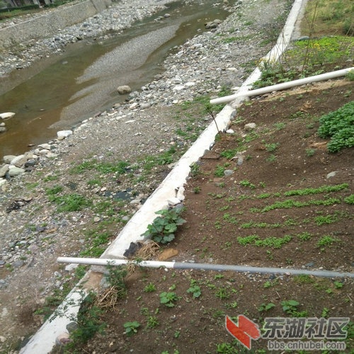 污水直排.jpg