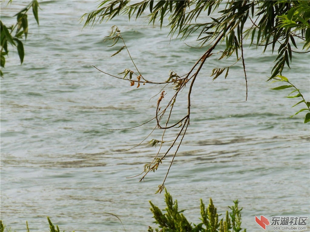 DSCF8649_副本.jpg