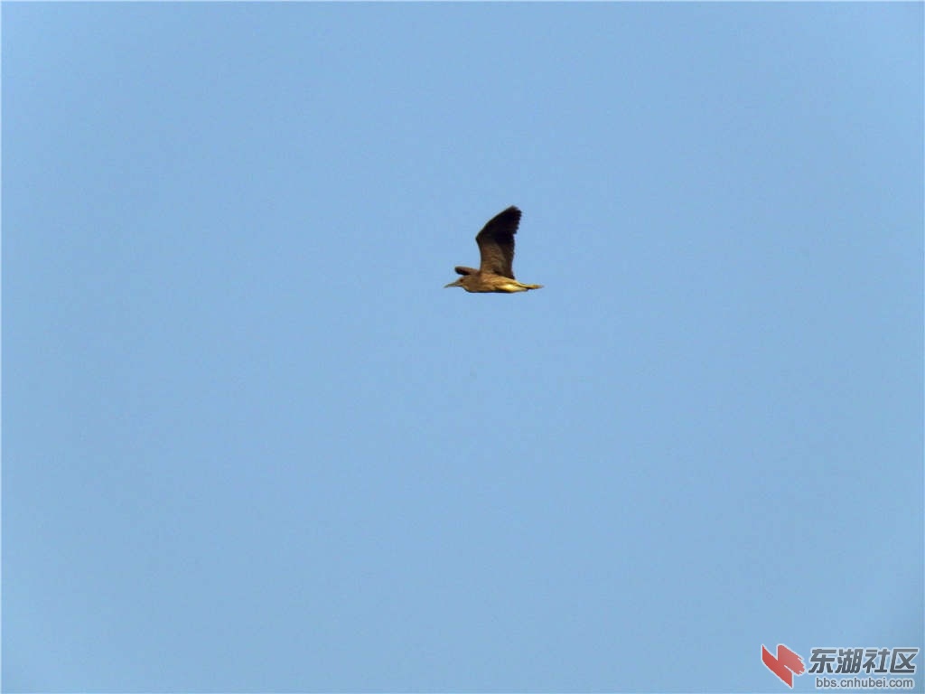 DSCF8692_副本.jpg