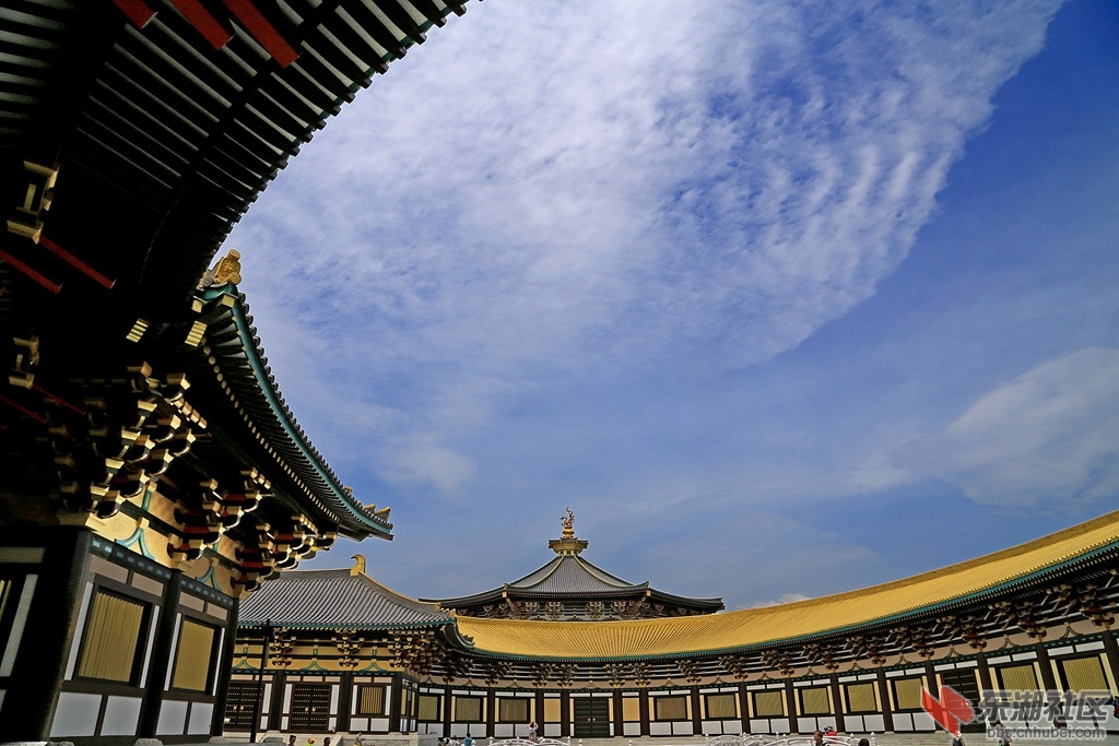 IMG_6489_副本.jpg
