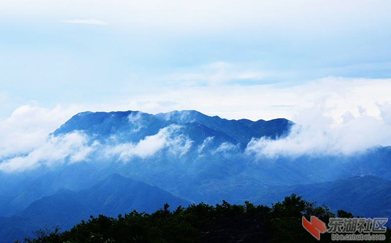 A1黄袍山林场云海1.jpg
