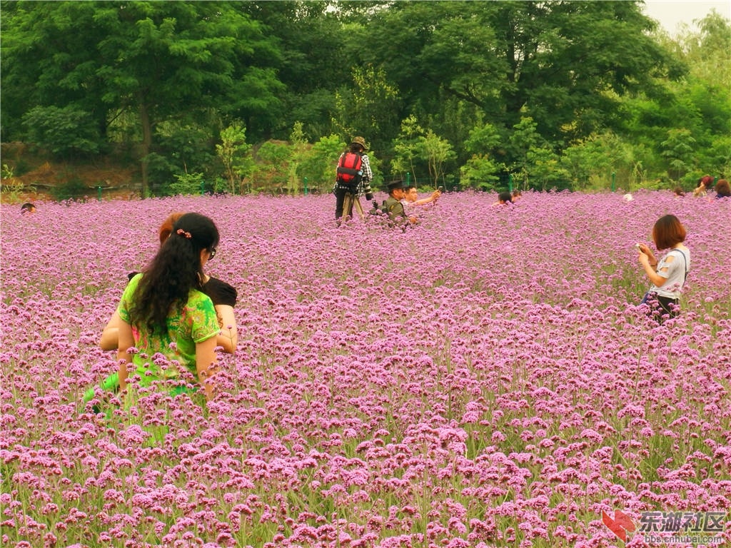 DSCF9088_副本.jpg