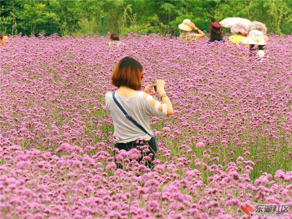 DSCF9090_副本.jpg