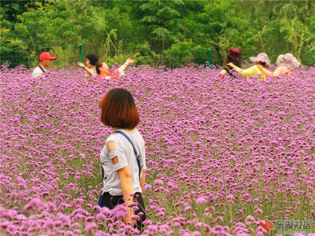 DSCF9095_副本.jpg