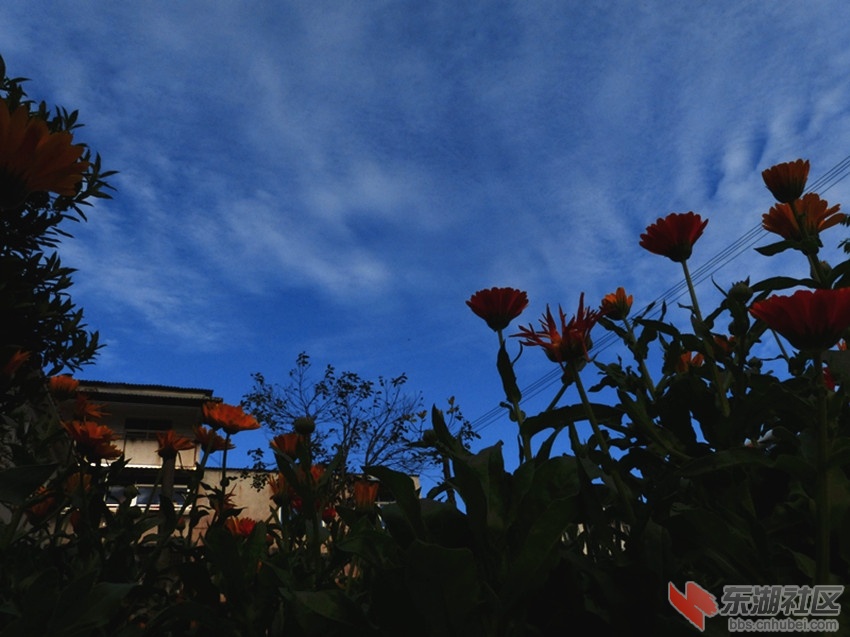 L1040204_副本.jpg