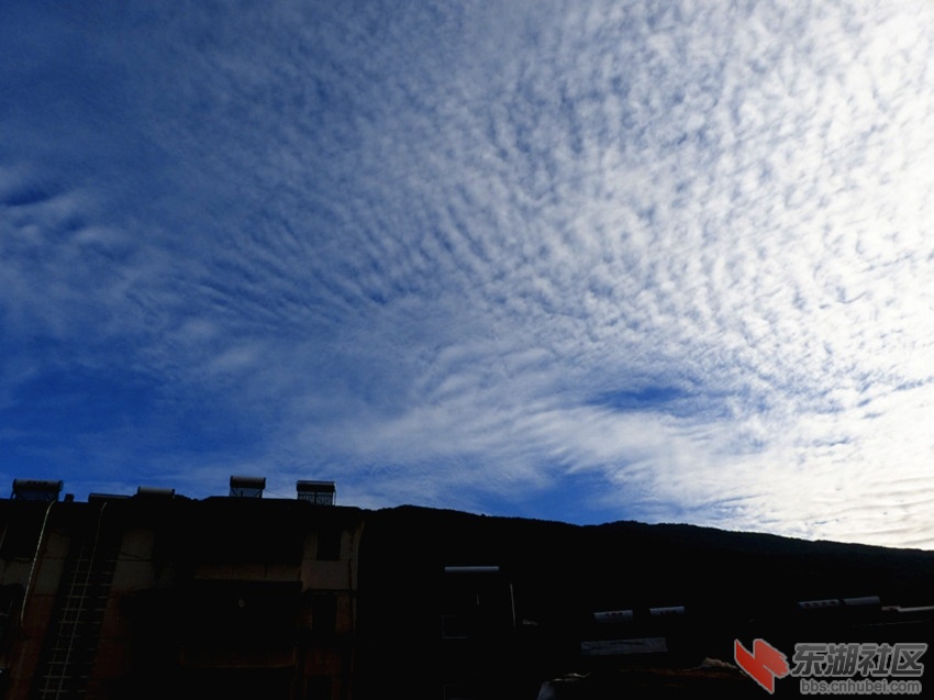 L1040201_副本.jpg