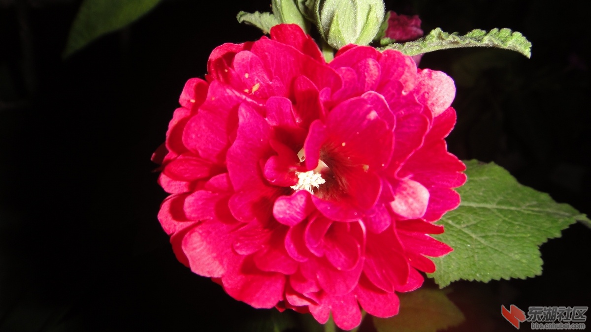 DSC08373.JPG