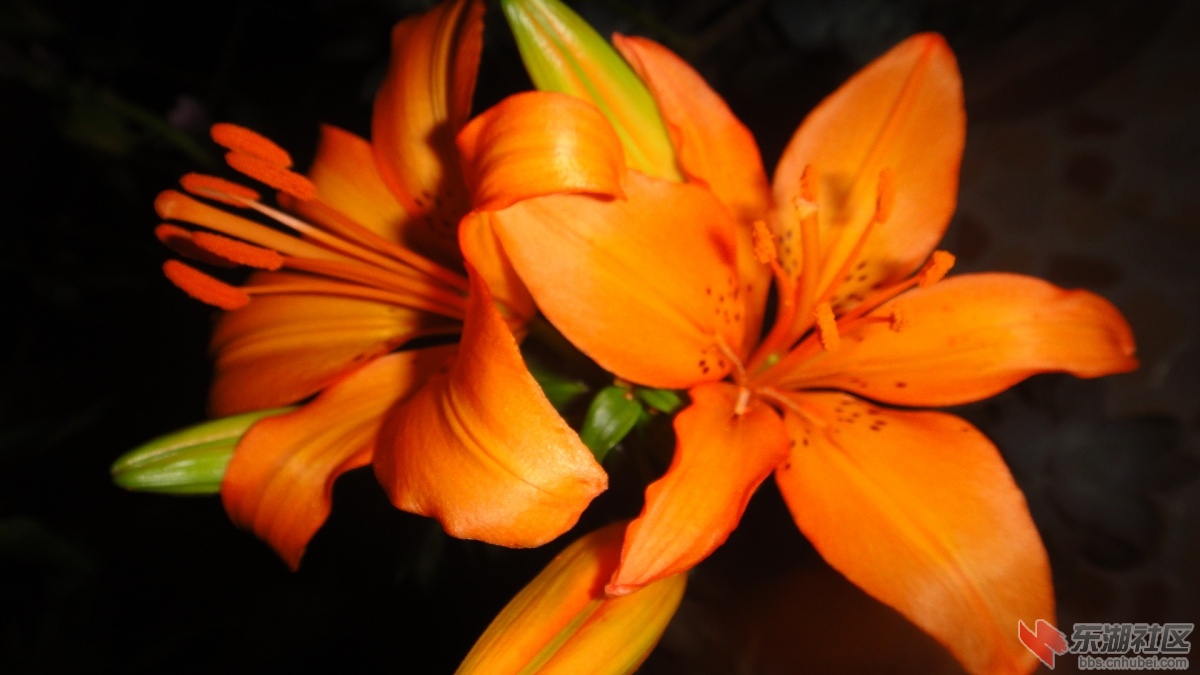DSC07625.JPG