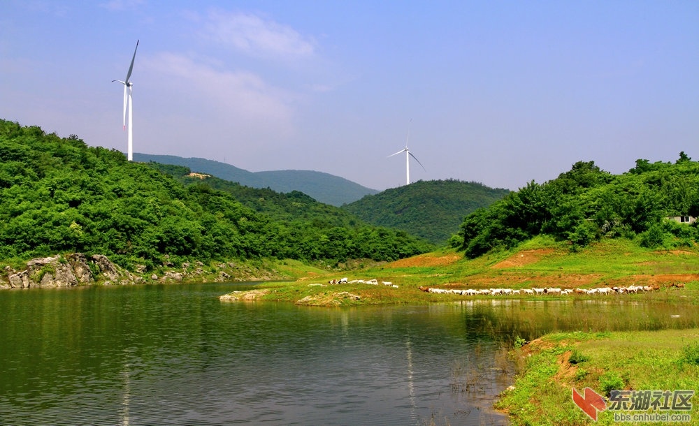 _MG_7641_1.jpg