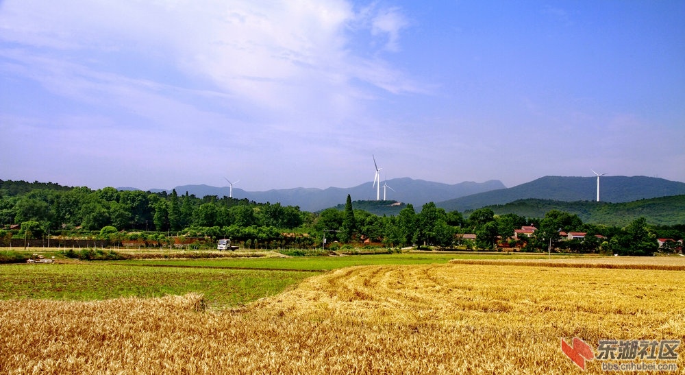 _MG_7590_1.jpg