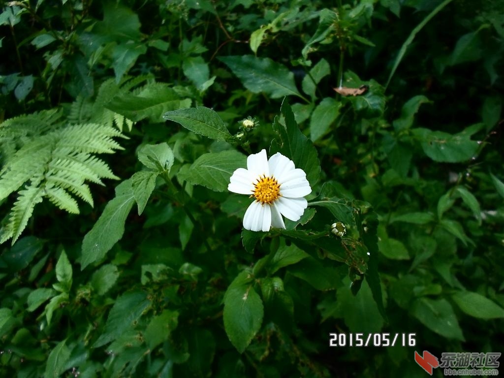 53