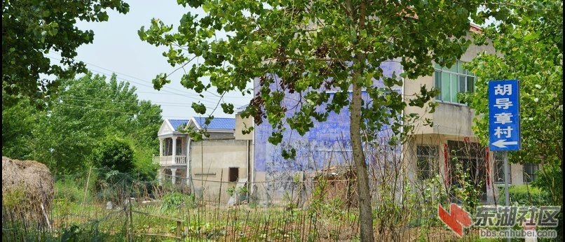 记忆梅川，记住乡愁系列报道之四十九胡导章村