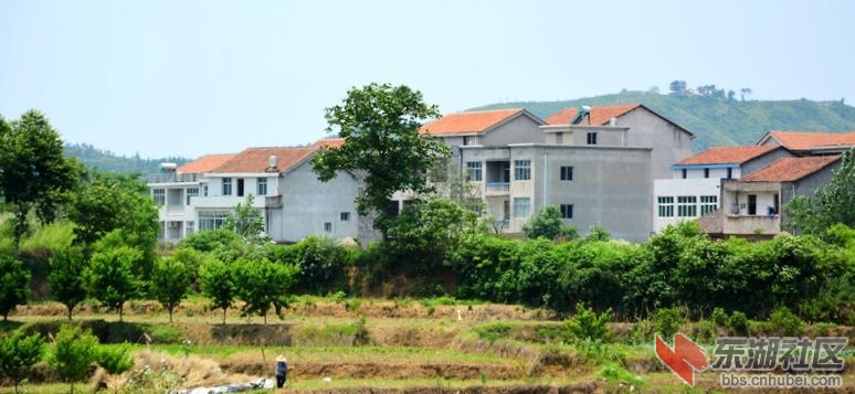 记忆梅川，记住乡愁系列报道之四十九胡导章村