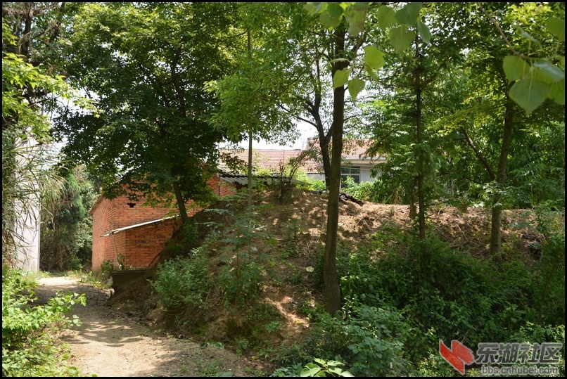 记忆梅川，记住乡愁系列报道之四十九胡导章村