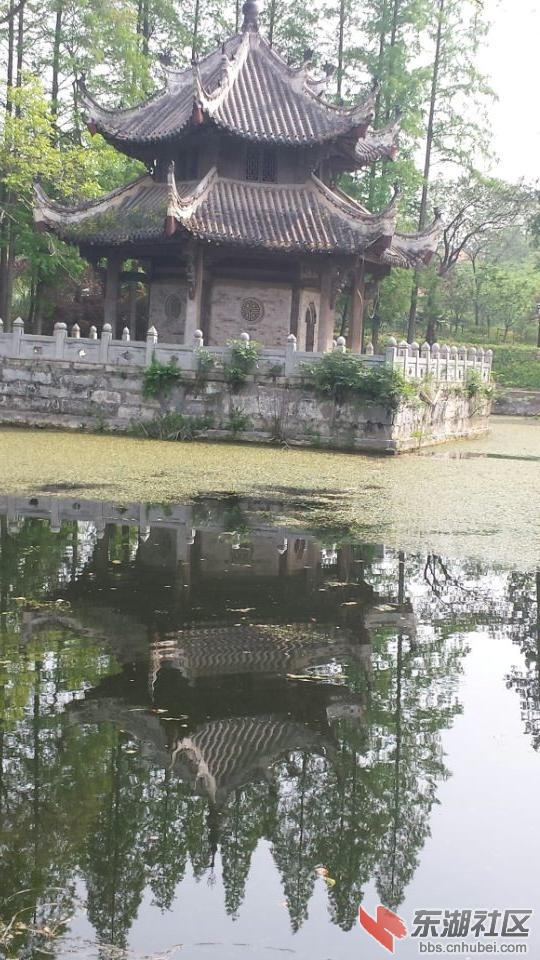 习家池12.jpg