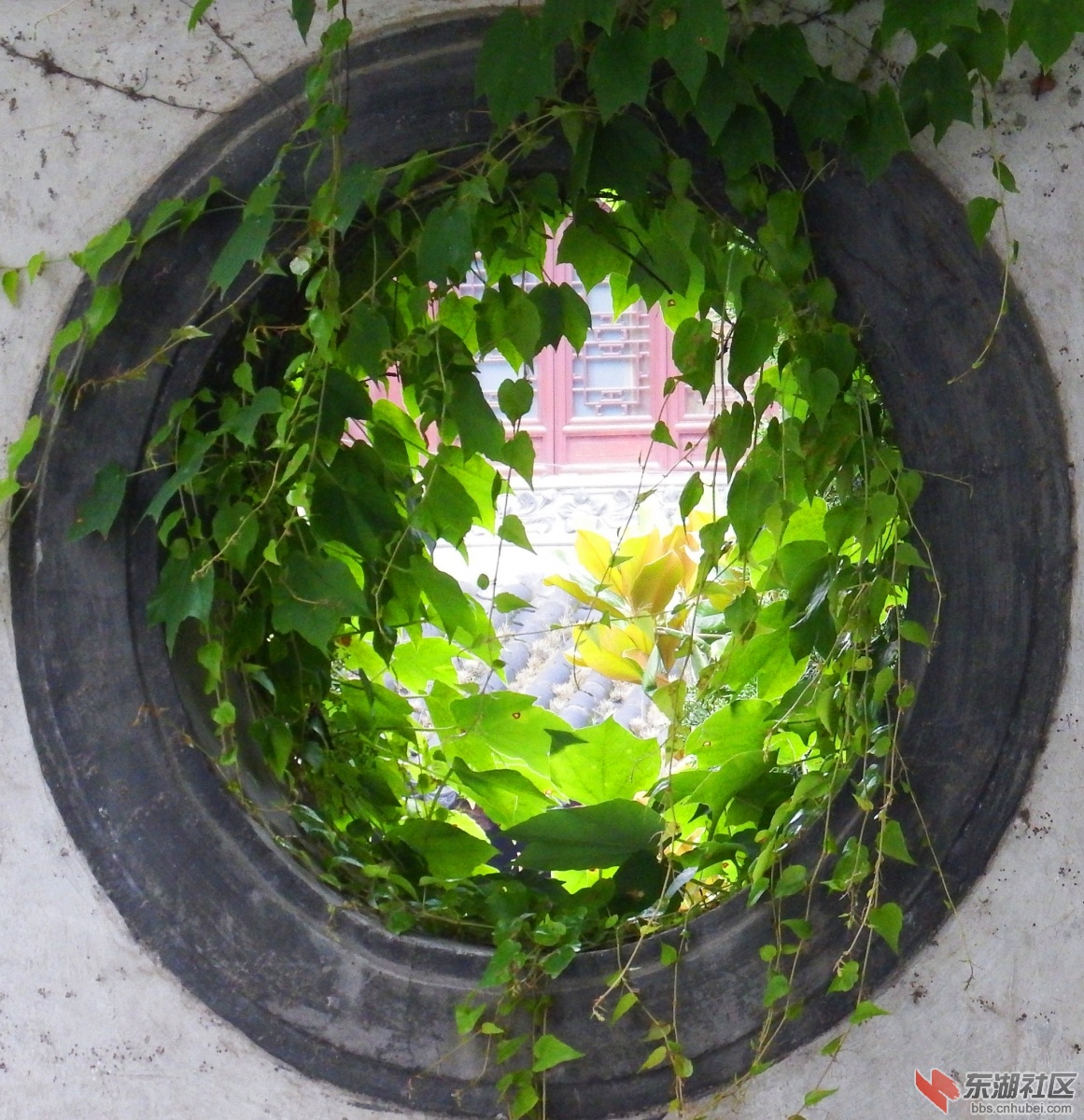 窥探_副本.jpg
