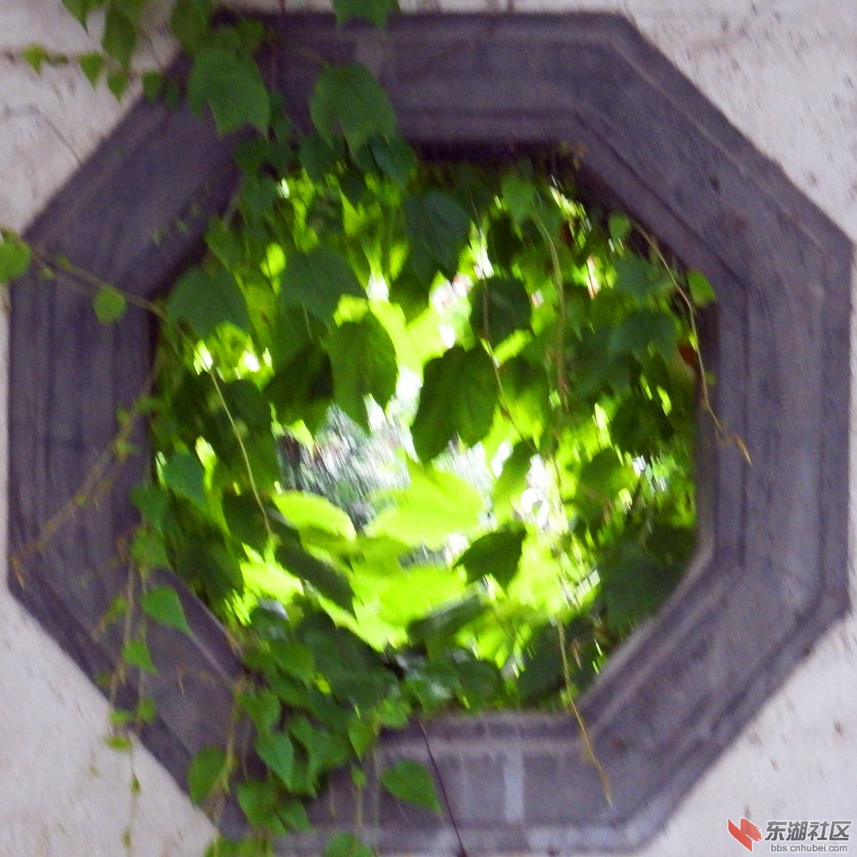 窥探3_副本.jpg