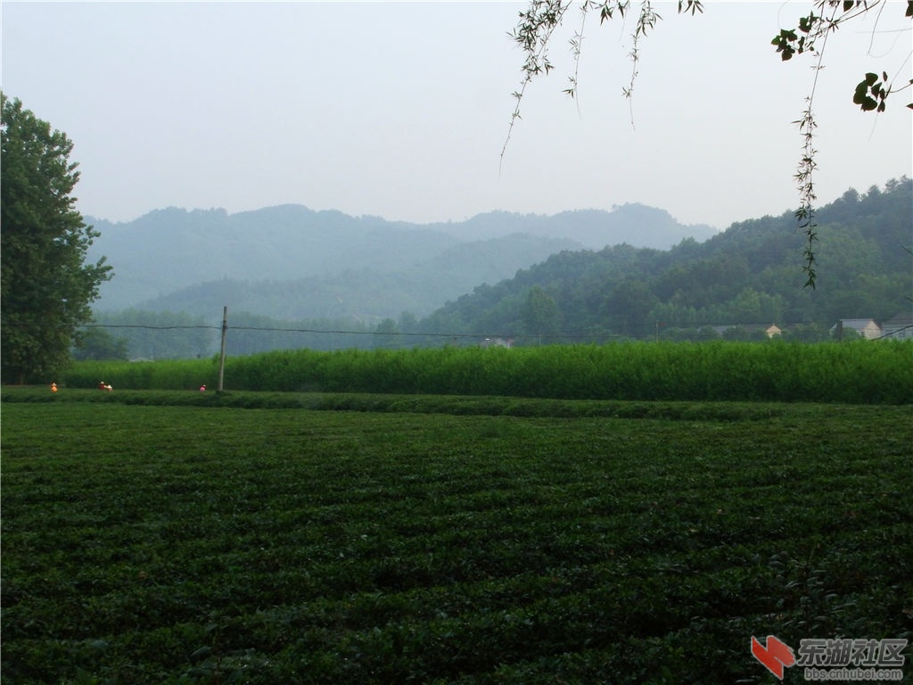 DSCF9956_副本.jpg
