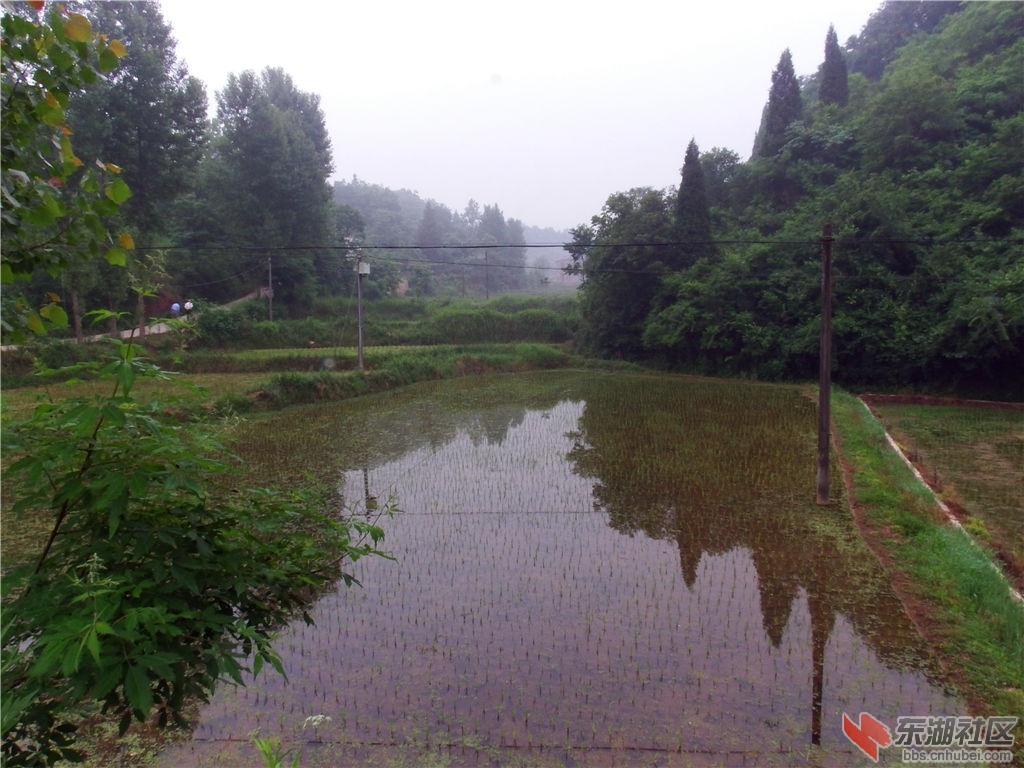 DSCF9977_副本.jpg