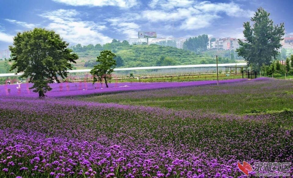 QQ图片20150530230729.jpg