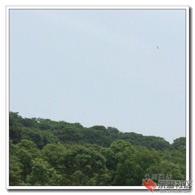 IMG_5355.jpg