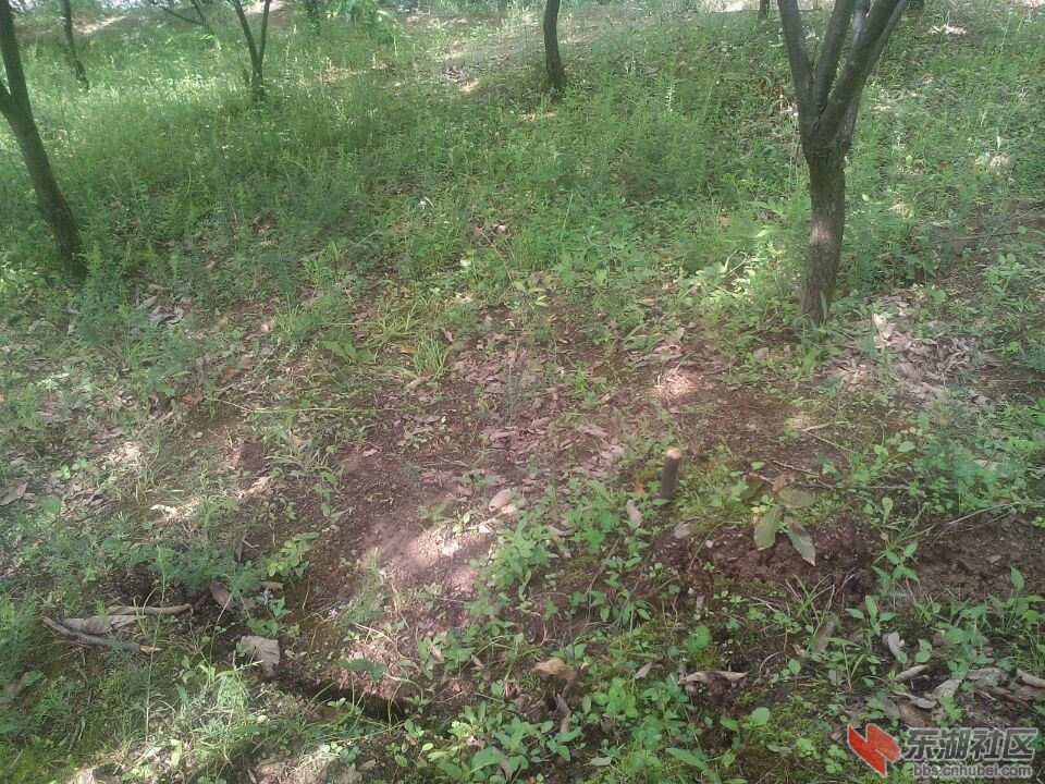 QQ图片20150531105748.jpg