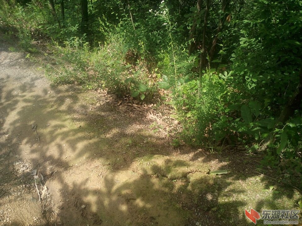 QQ图片20150531105806.jpg