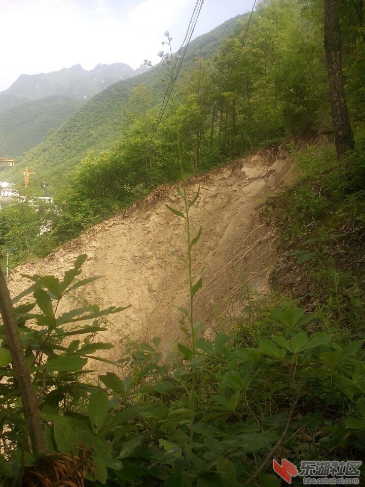 QQ图片20150531105822.jpg