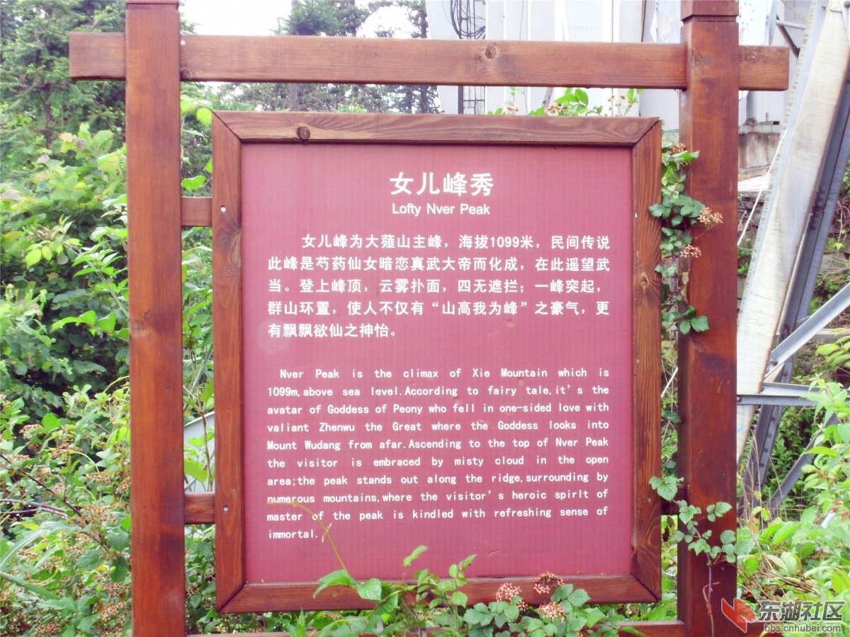 DSCF9749_副本.jpg
