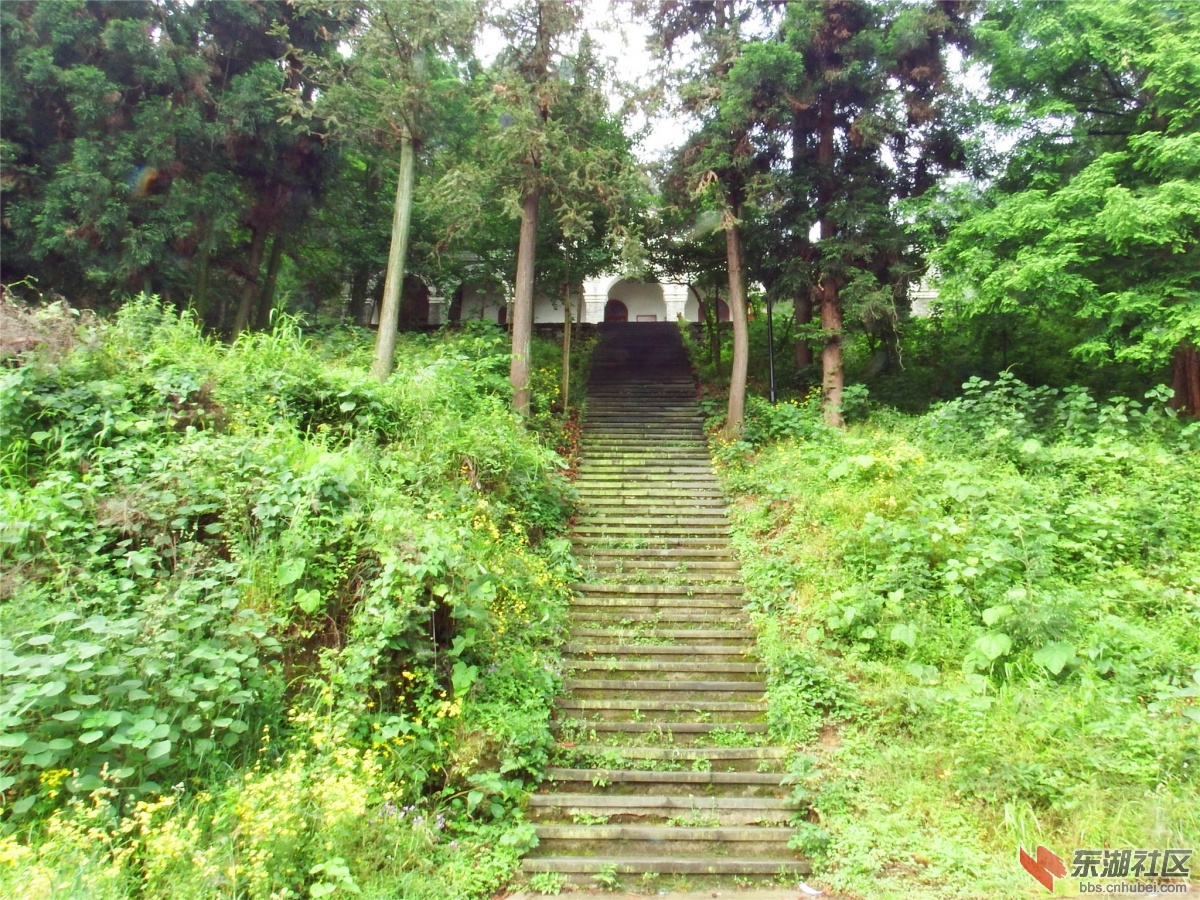 DSCF9863_副本.jpg