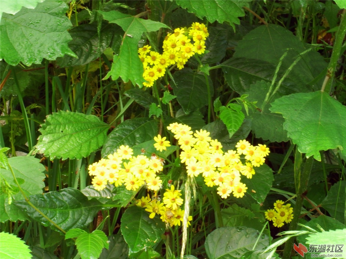 DSCF9868_副本.jpg
