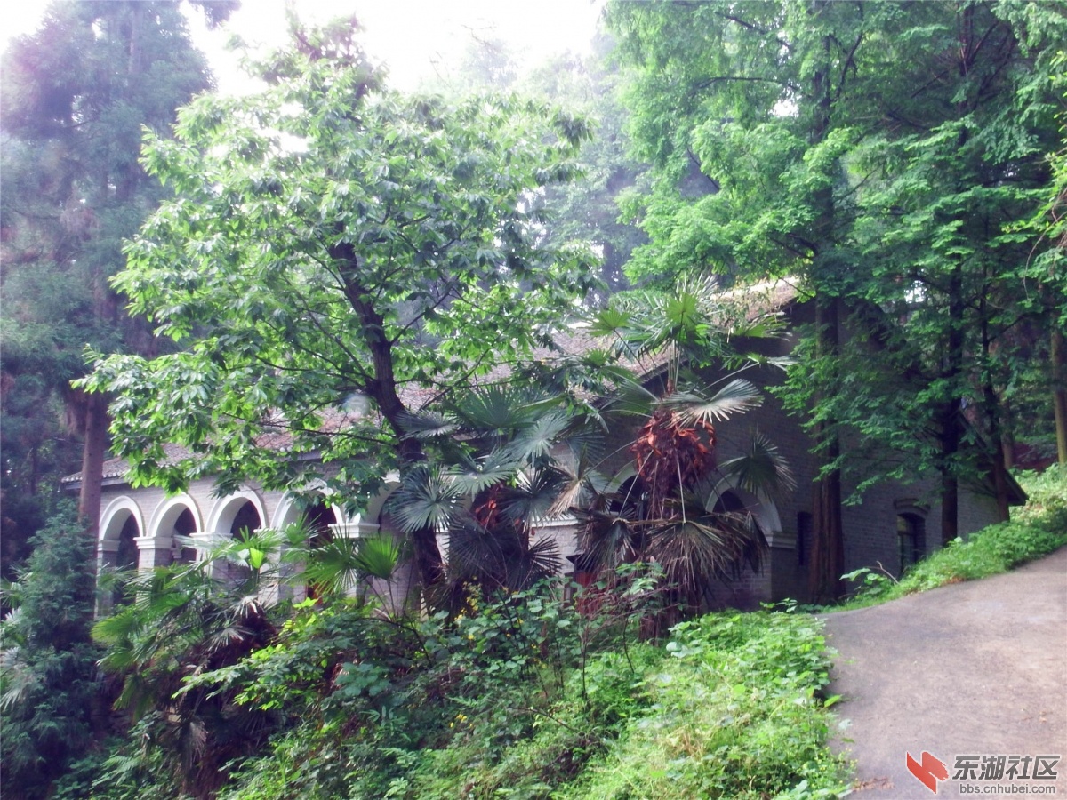 DSCF9872_副本.jpg
