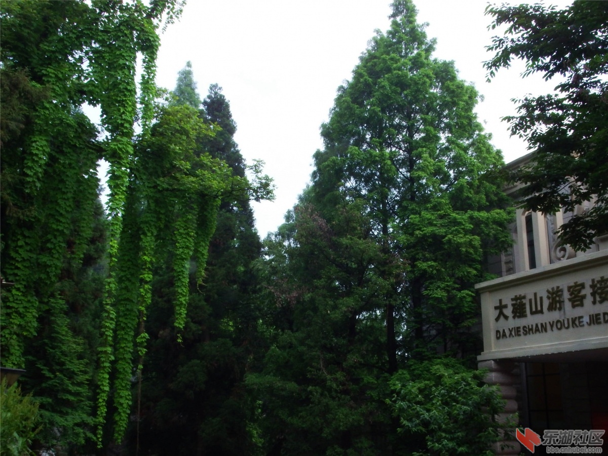 DSCF9875_副本.jpg